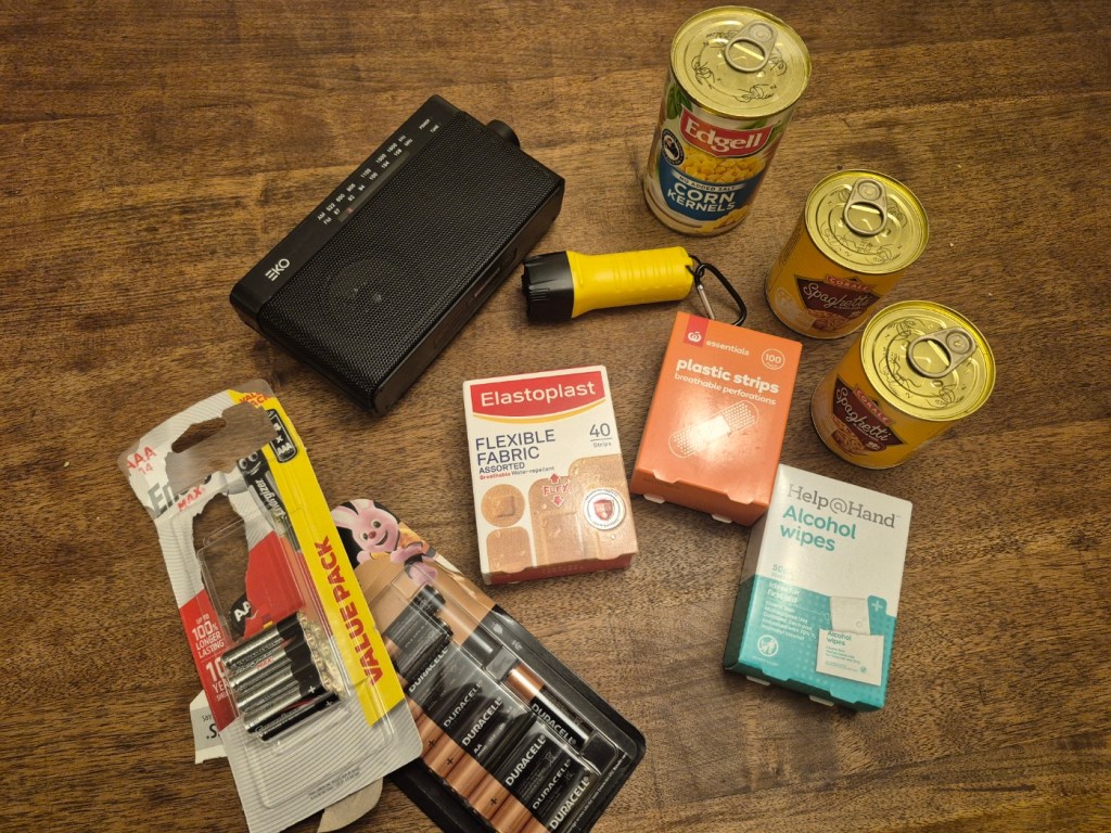 Far North Queenslander’s Guide to Surviving a&nbsp;Cyclone