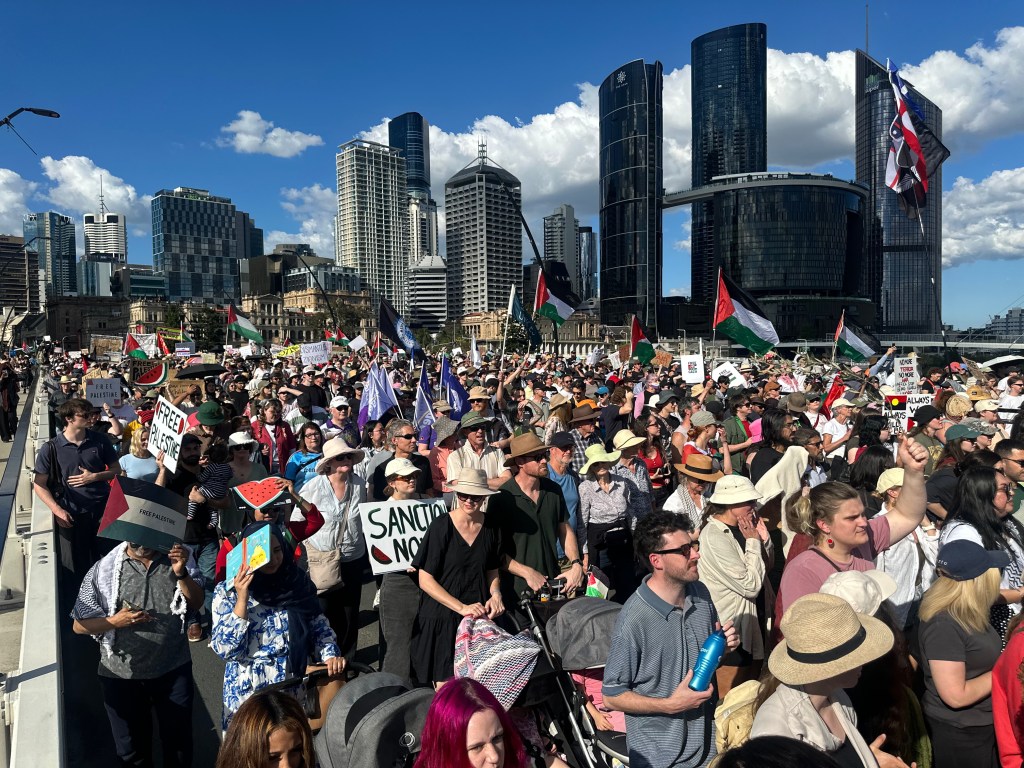 Is Recognition Enough? Protestors on Palestinian&nbsp;Statehood